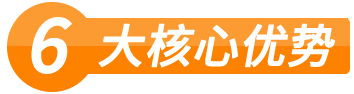盛隆六大核心優勢